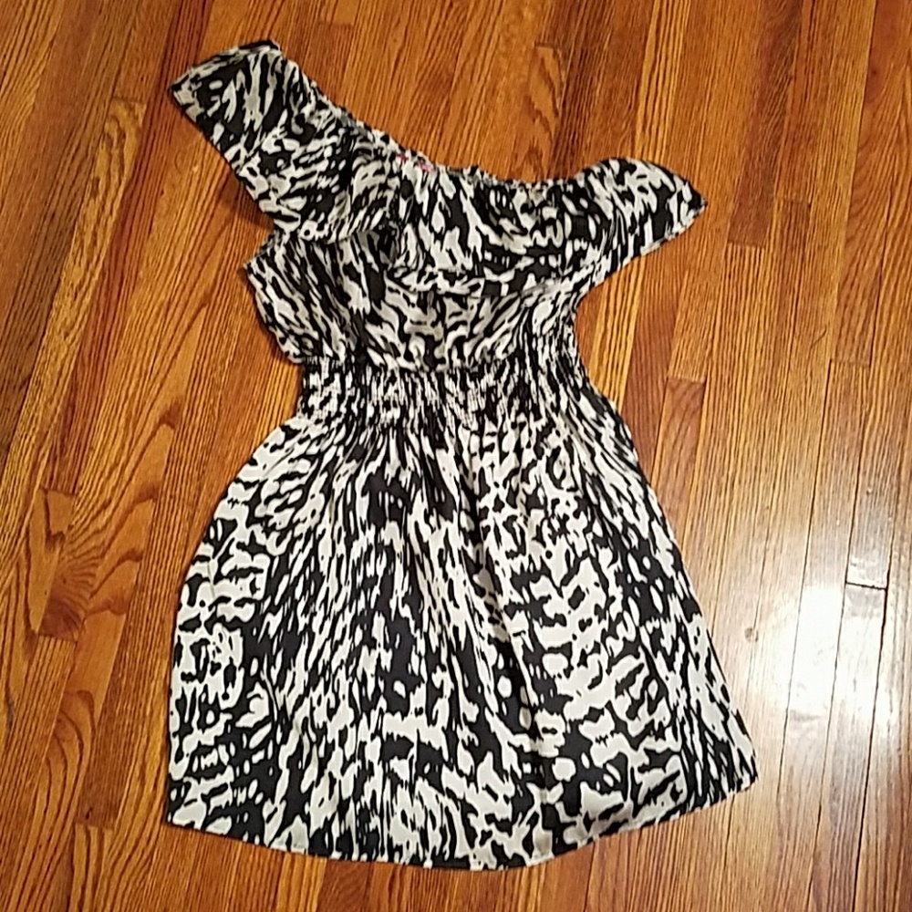Zebra stripe dress