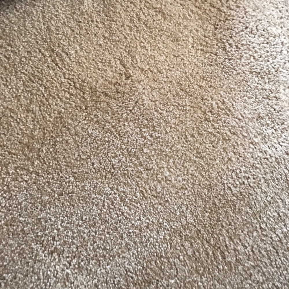 Meet your Posher, Angelica