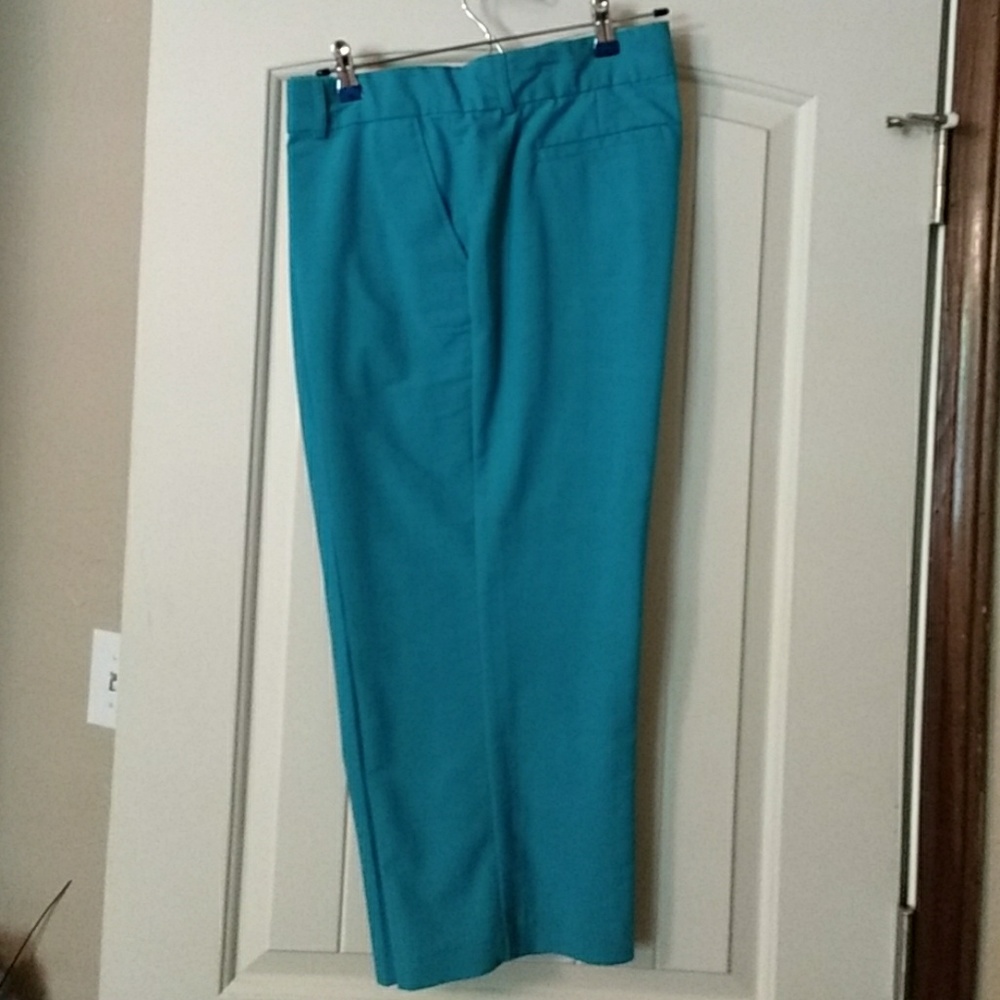 Kim Rogers size 14 capris
