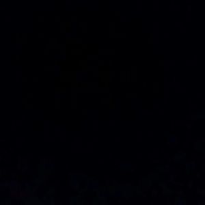 Meet your Posher, Scottie