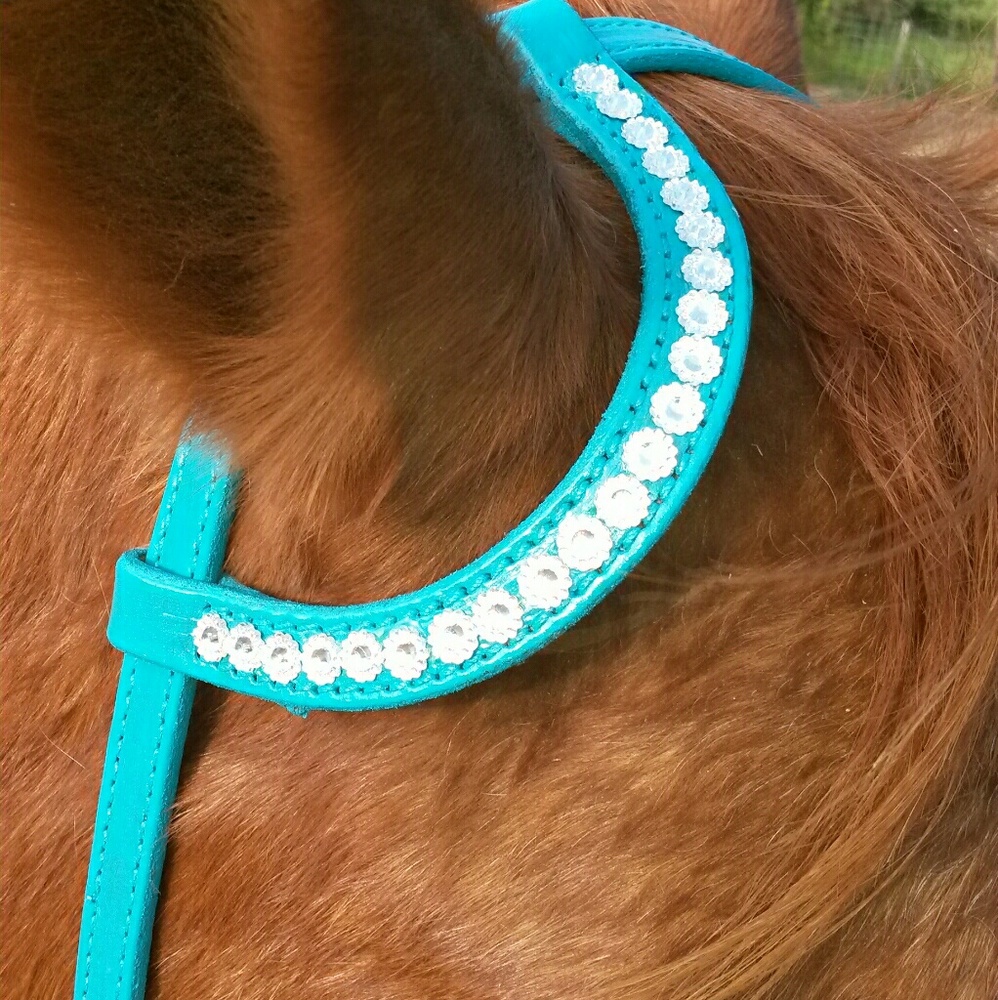 Turquoise headstall, equine, horse, tack