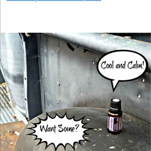 Meet your Posher, Dee