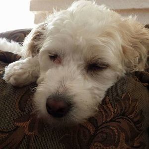 Meet your Posher, Nelly