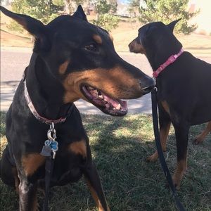 Meet your Posher, Becca