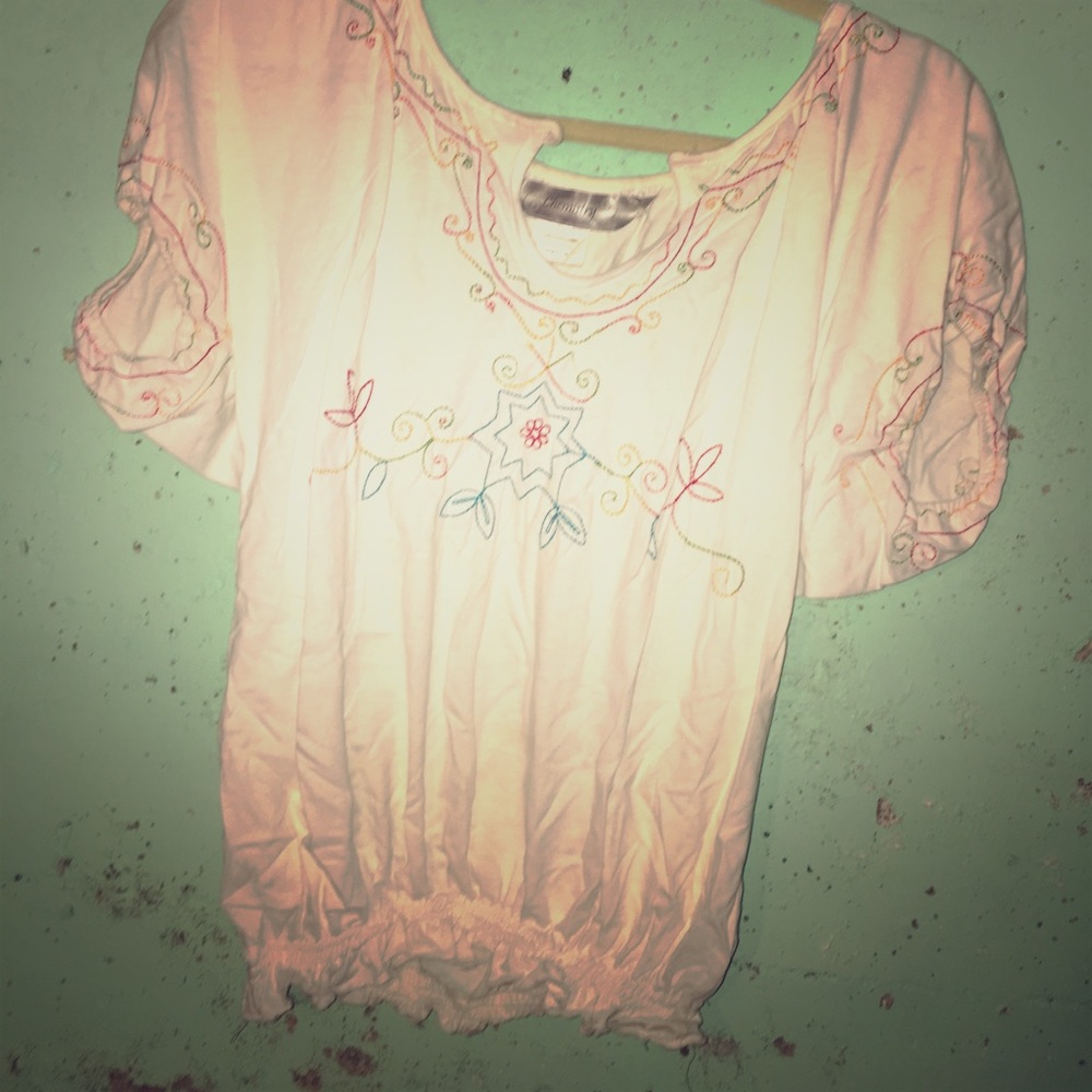 Summer crop top embroidered needlework pheasant S