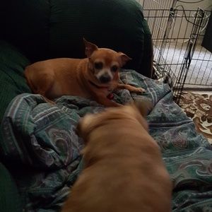 Meet your Posher, Linda