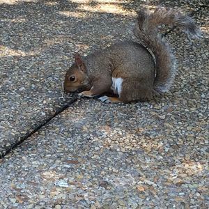 Meet your Posher, Smith