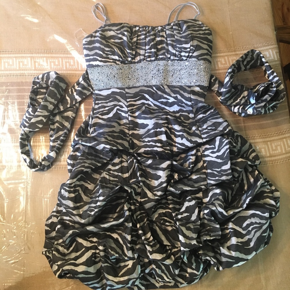 NWT Gray zebra print homecoming dress from Windsor