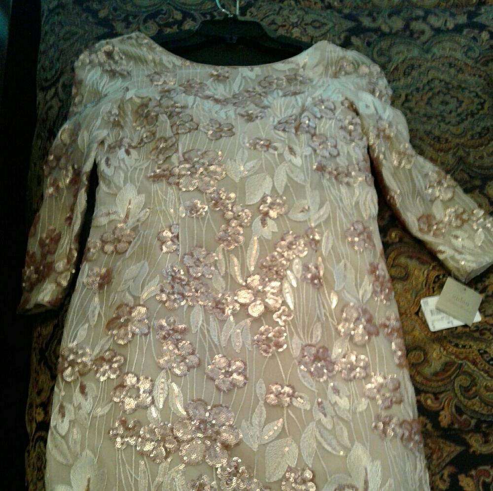 Meet your Posher, Troy