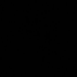 Meet your Posher, Salomon