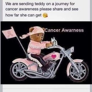 Meet your Posher, Carol luca