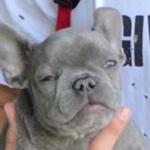 Meet your Posher, Jacob