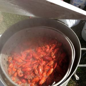 Meet your Posher, Victor