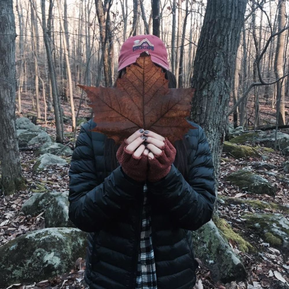 Meet your Posher, Alexa