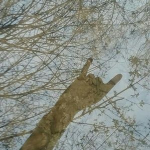 Meet your Posher, Kelsey