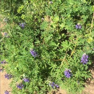 Meet your Posher, Marianne