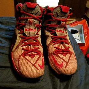 LeBron 12