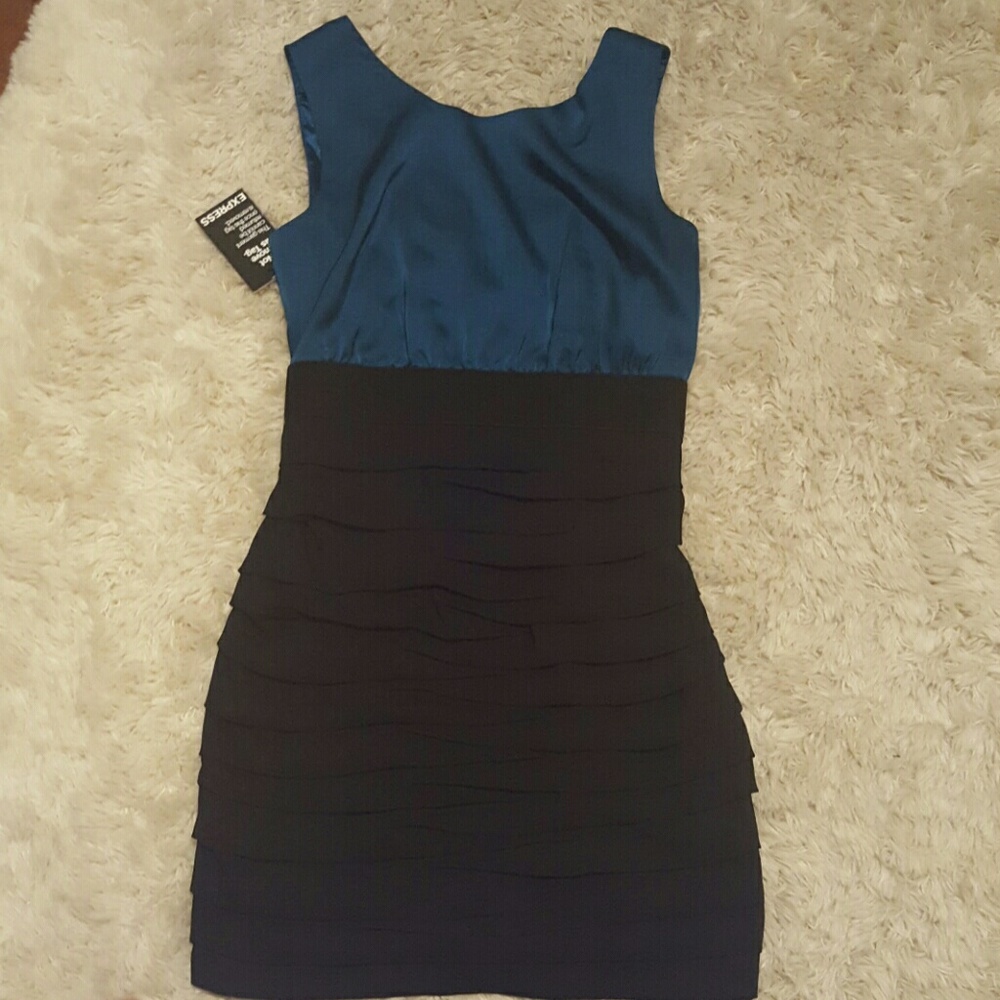 Fitted Express Cocktail Dress