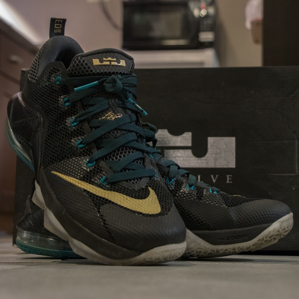 Nike Lebron 12 Low SVSM