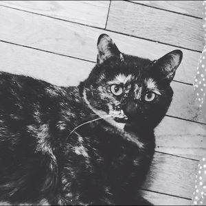 Meet your Posher, Jessica