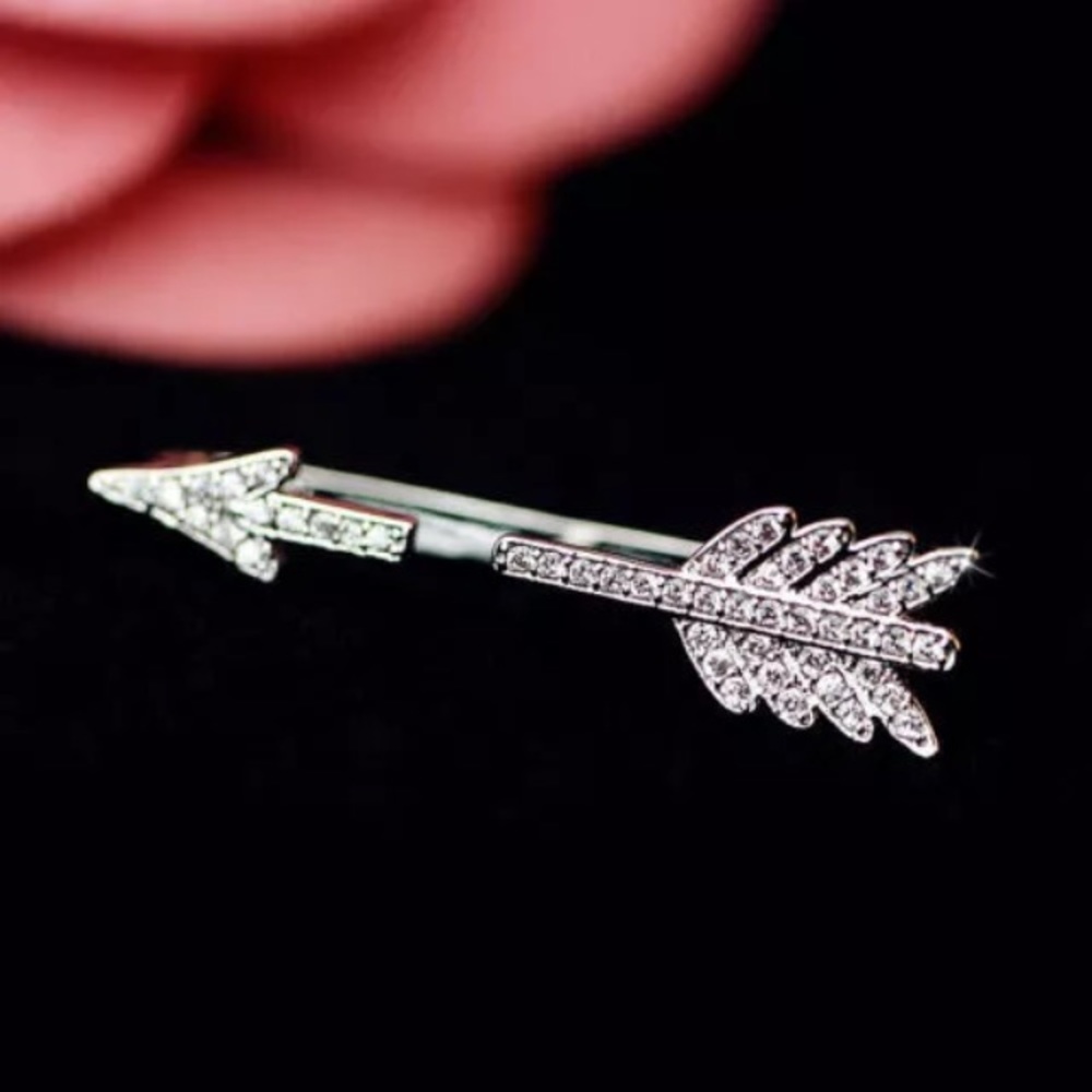 NWT silver toned arrow earring