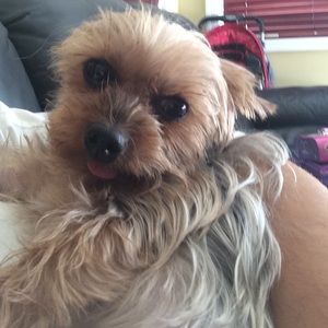 Meet your Posher, Myra