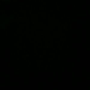 Meet your Posher, Monique