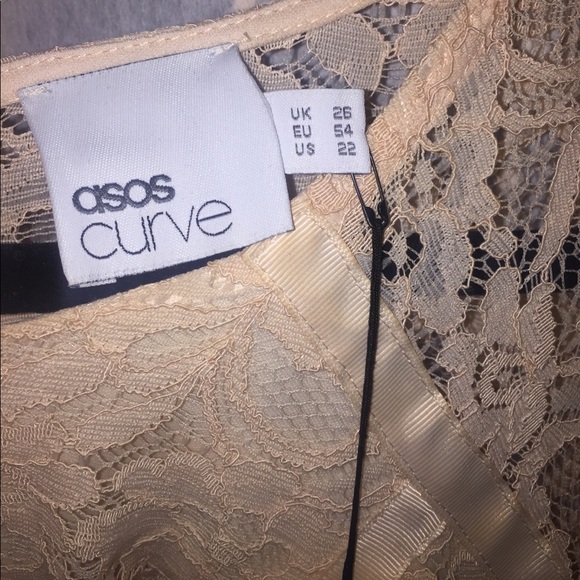 ASOS Curve Lace Peach/Cream Dress- never worn. - Picture 4 of 4