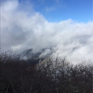 Meet your Posher, Meredith