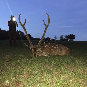 Meet your Posher, Chase