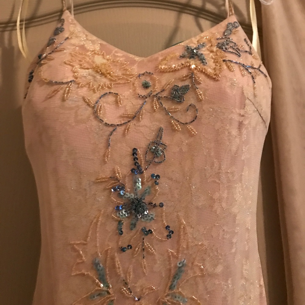 Sue Wing Size 2 Beige Hand-Beaded Gown and shawl