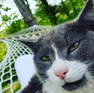 Meet your Posher, Stacy