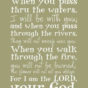 Meet your Posher, Carol