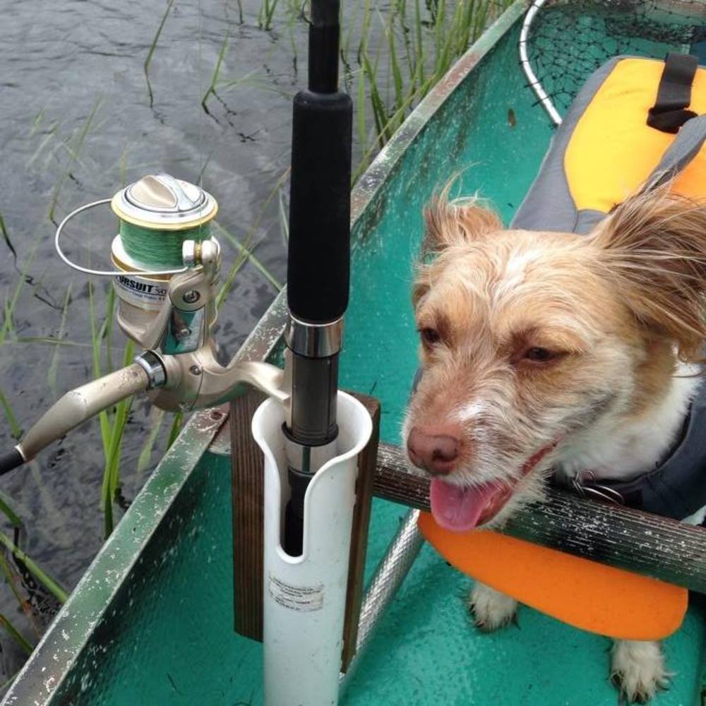 Meet your Posher, Margaret