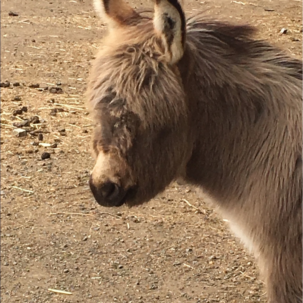 Meet your Posher, Heather
