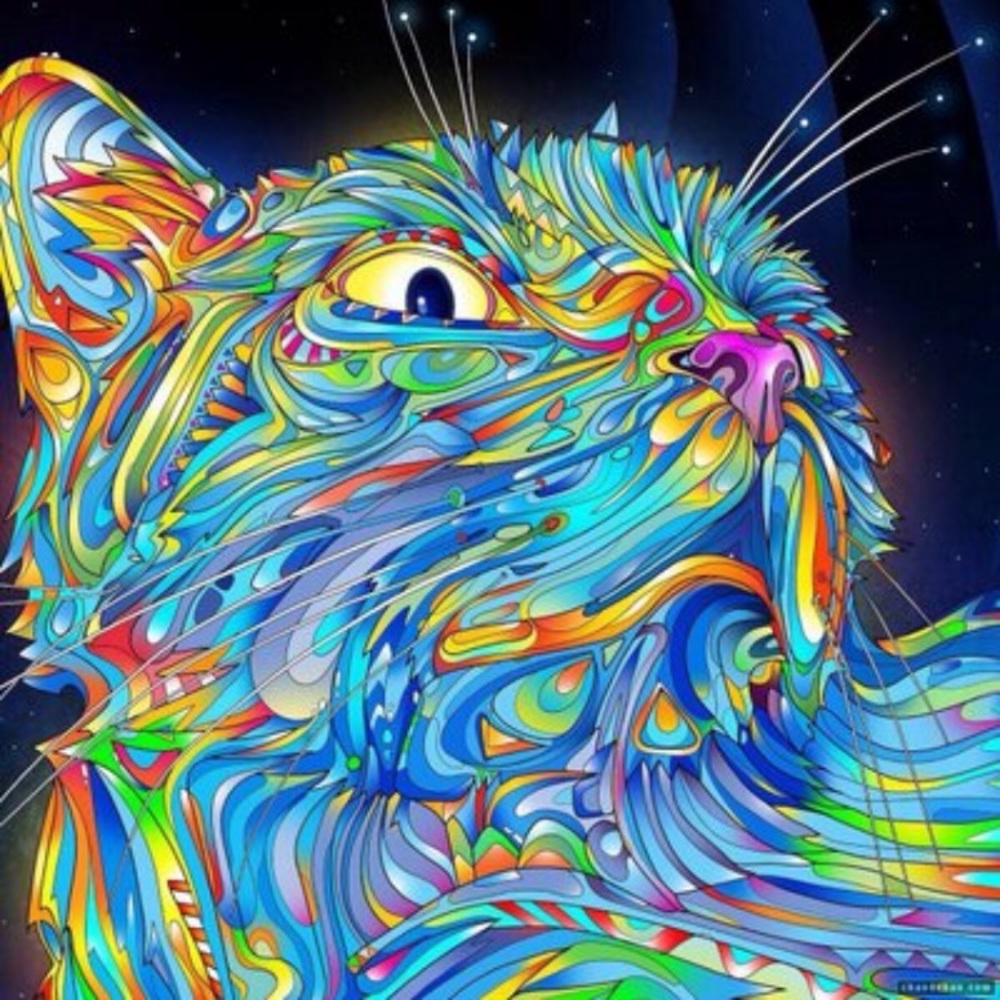 Meet your Posher, Nickolaus