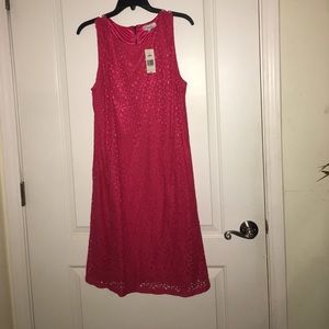 Kim rogers career dress