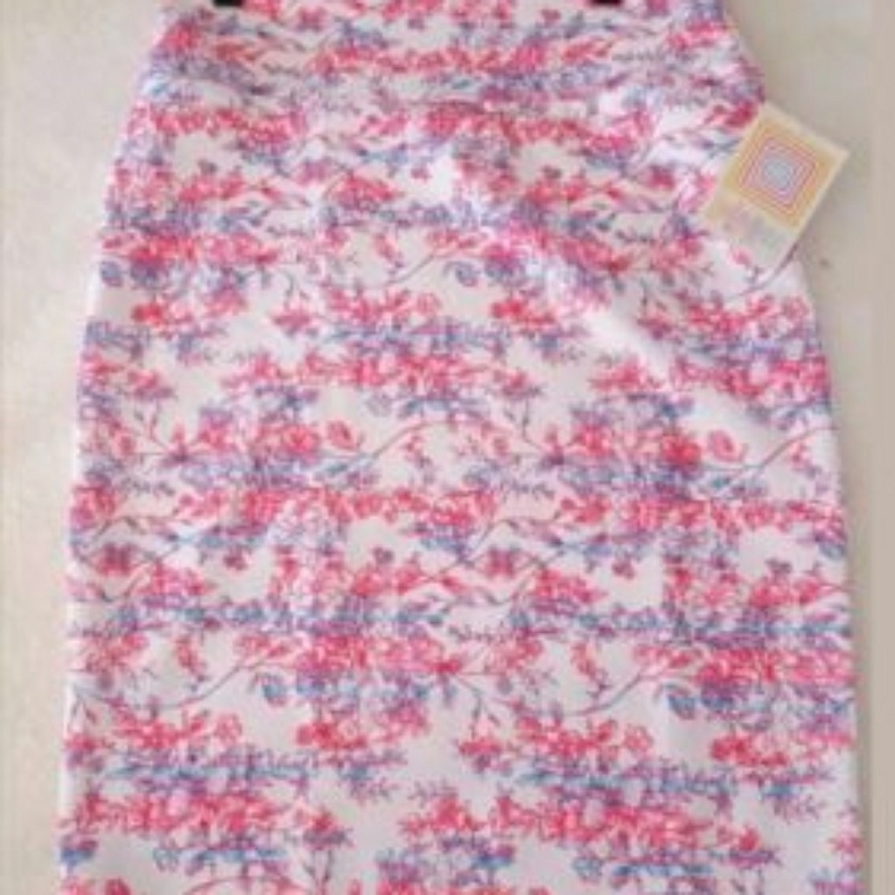 Lularoe Cassie skirt