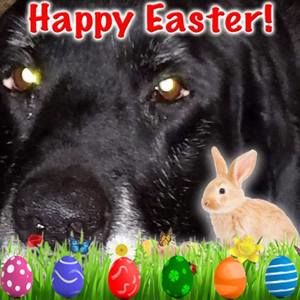 Meet your Posher, Shannen