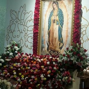 Meet your Posher, Imelda