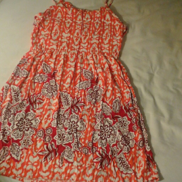 Fun in the Sun - Picture 4 of 4