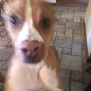 Meet your Posher, Kathryn