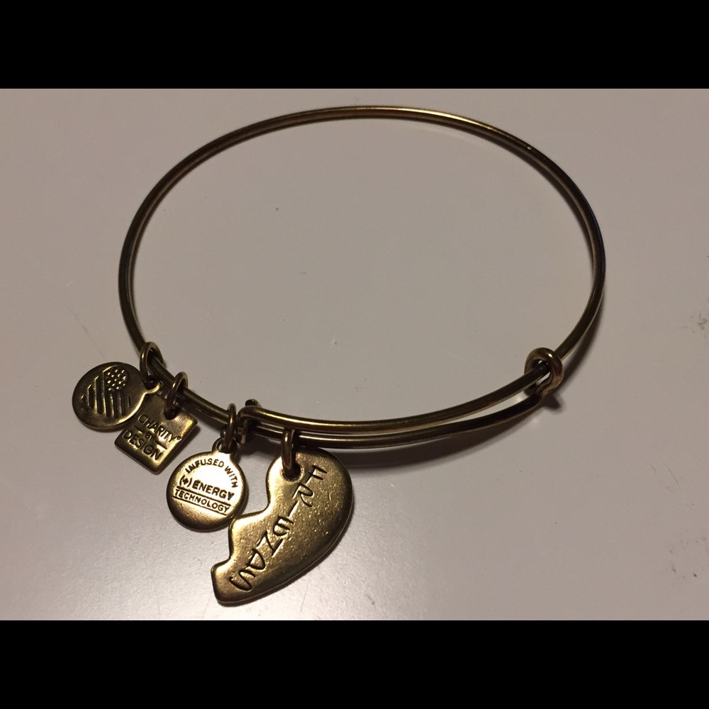Alex and Ani Friends charm bracelet