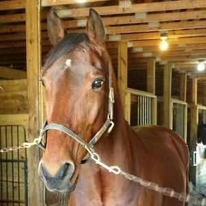 Meet your Posher, Sarena