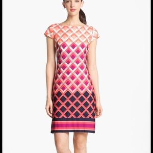 NWOT Eliza J Jersey Shift Dress