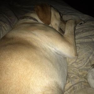 Meet your Posher, Candi