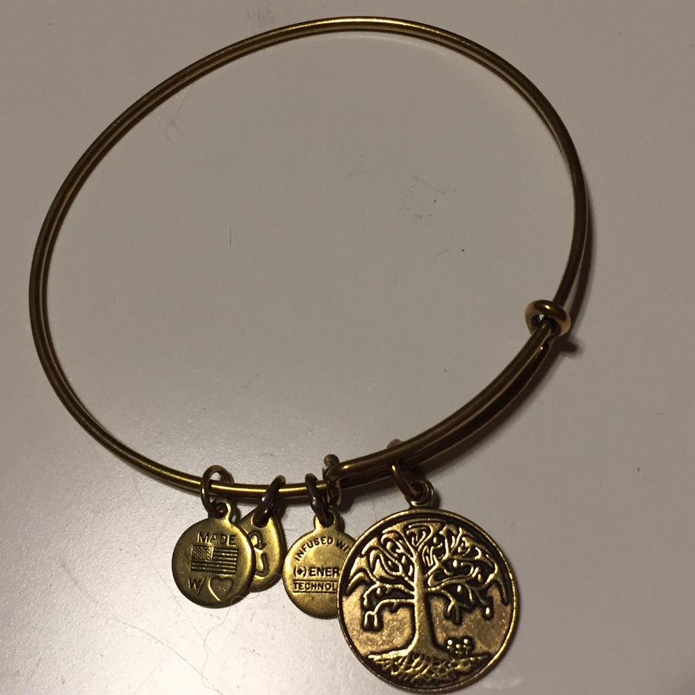 Alex and Ani gold Path of Life bracelet