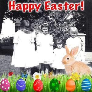 Meet your Posher, Teri