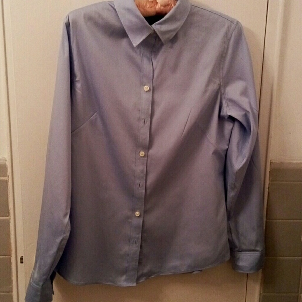 Banana Republic Non Iron Fitted Blouse