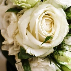 Meet your Posher, Lindsey